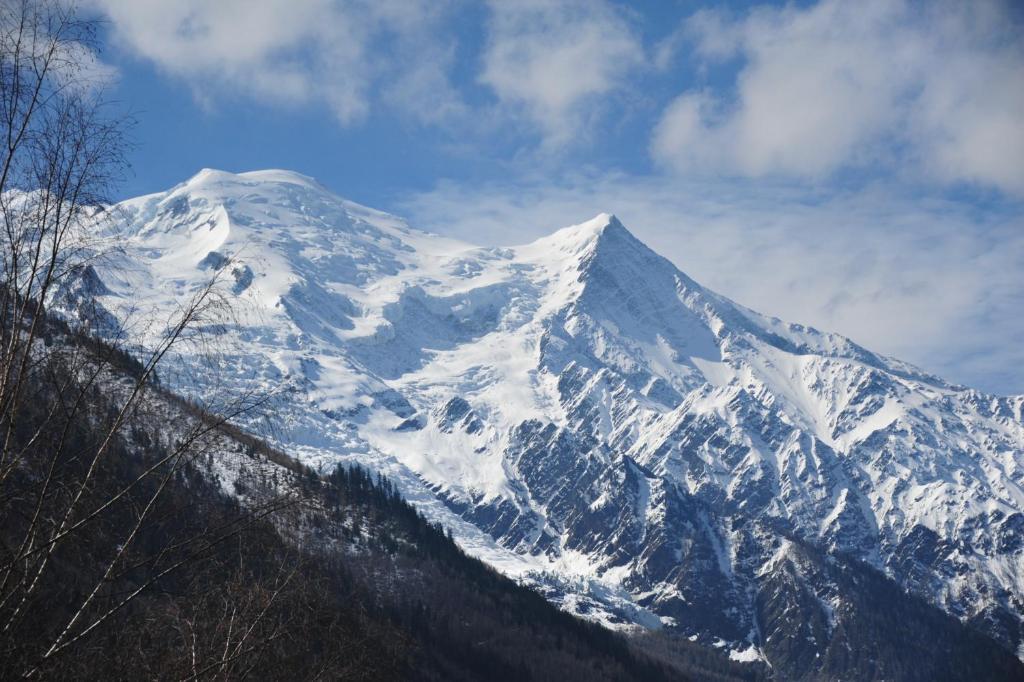 Mont Blanc Spa Chalet Bnb 샤모니 외부 사진